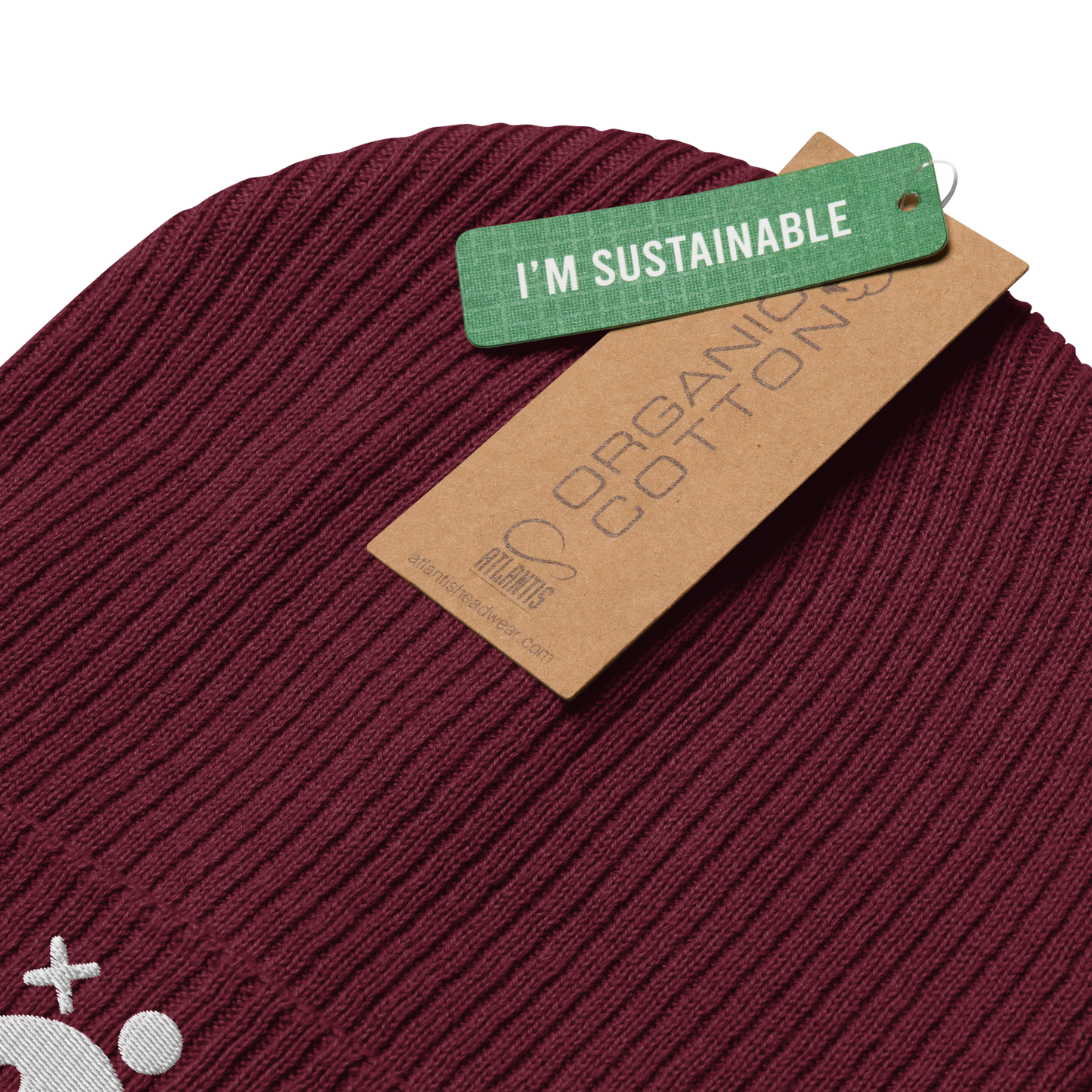 PIG – New Logo Beanie