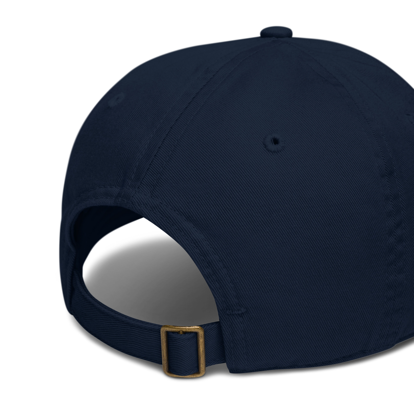 FA+H – Logo Cap